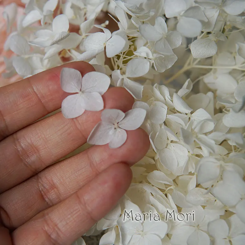 Colorful Preserved Hydrangea Home Decoration Wedding Decoration Small Leaf Anna Hydrangea Epoxy Handmade DIY Material