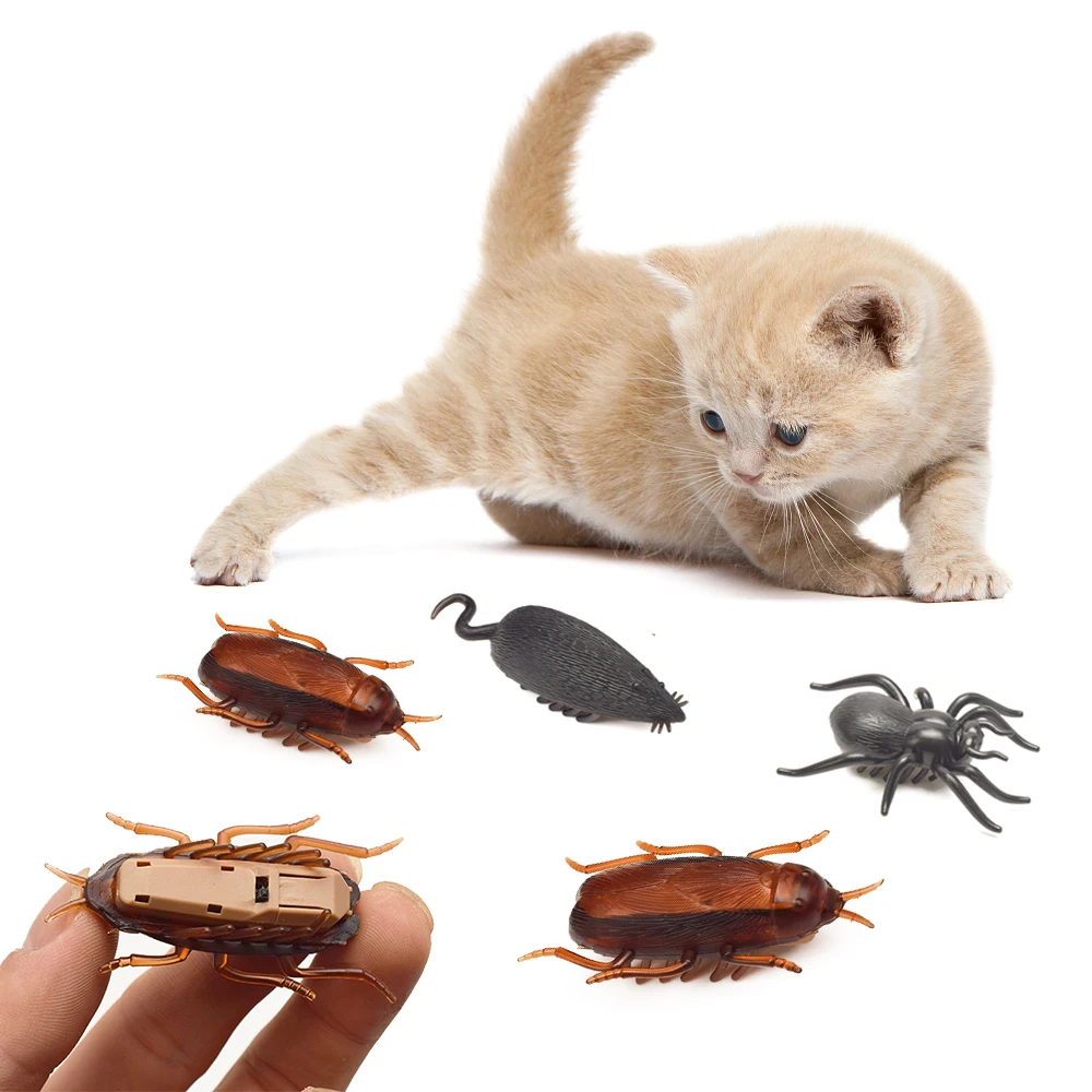 

Funny Pet Cat toys interactive Electronic Toy Cockroach Mouse Spider for Cats dogs Puppy Training Toys Pet product