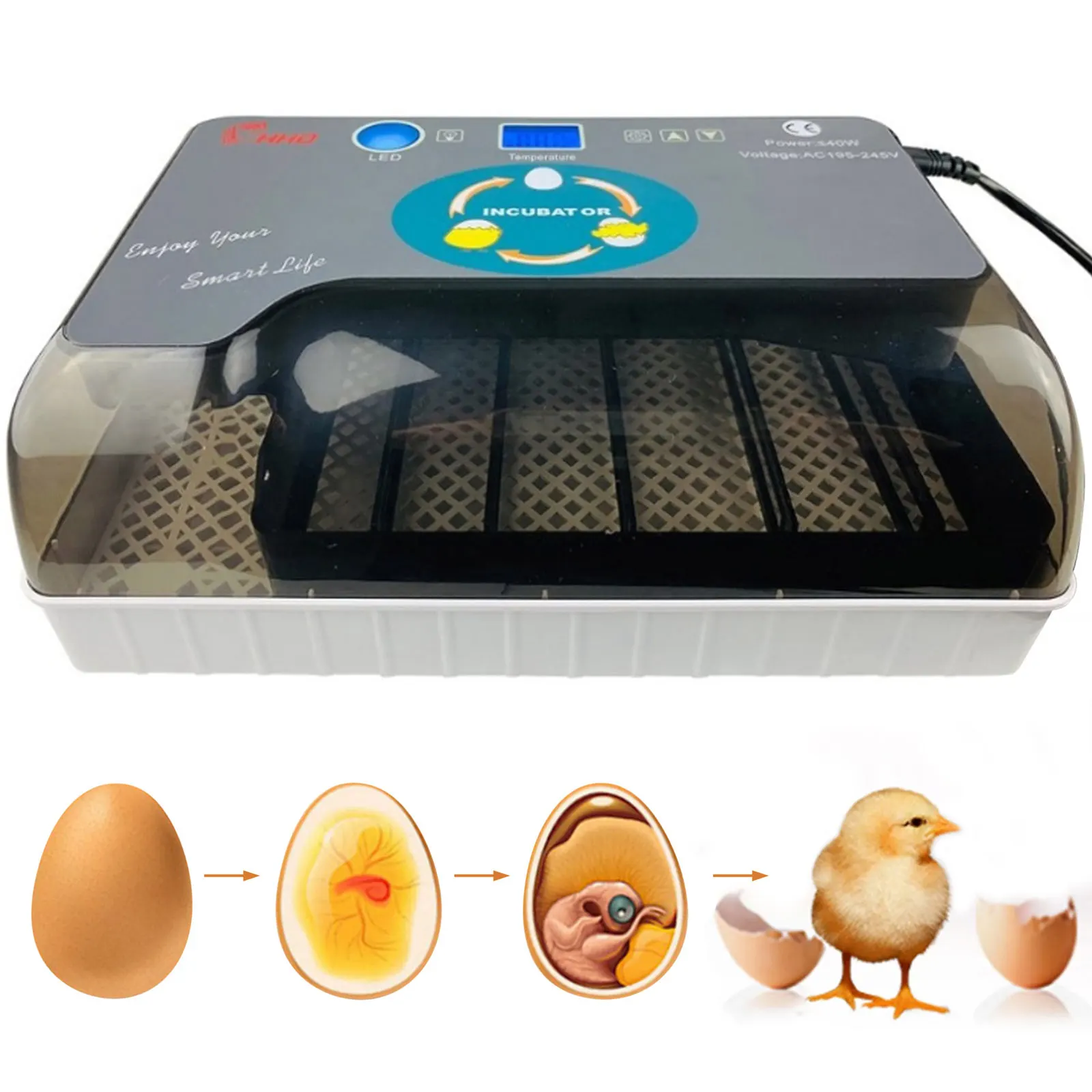 Behogar Eggs Semi-automatic Digital Incubator Brooder Machine Adjustable Temperature Poultry Hatcher for Chickens Duck Bird Eggs