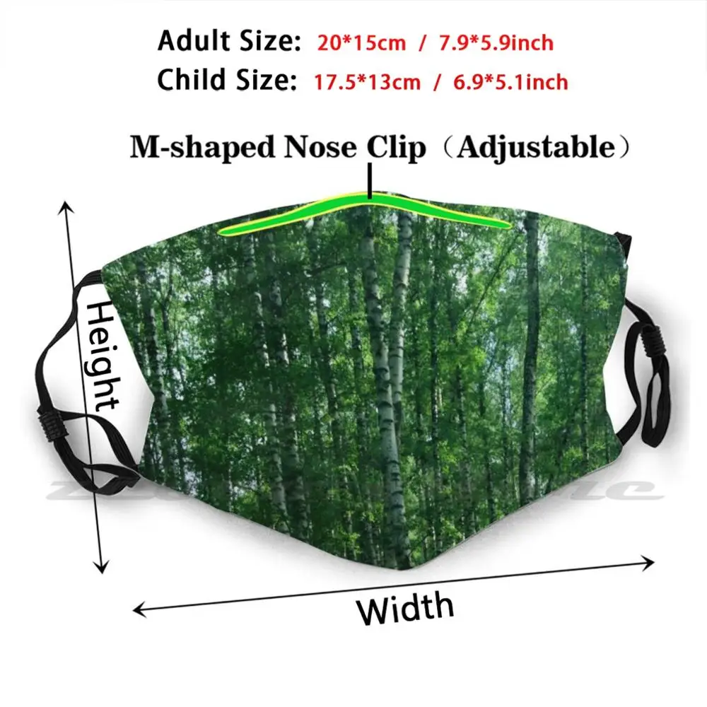 Máscara de bosque de abedul para adultos y niños, máscara de tela lavable con filtro Pm2.5, abedul, bosque de abedul, árboles, naturaleza salvaje