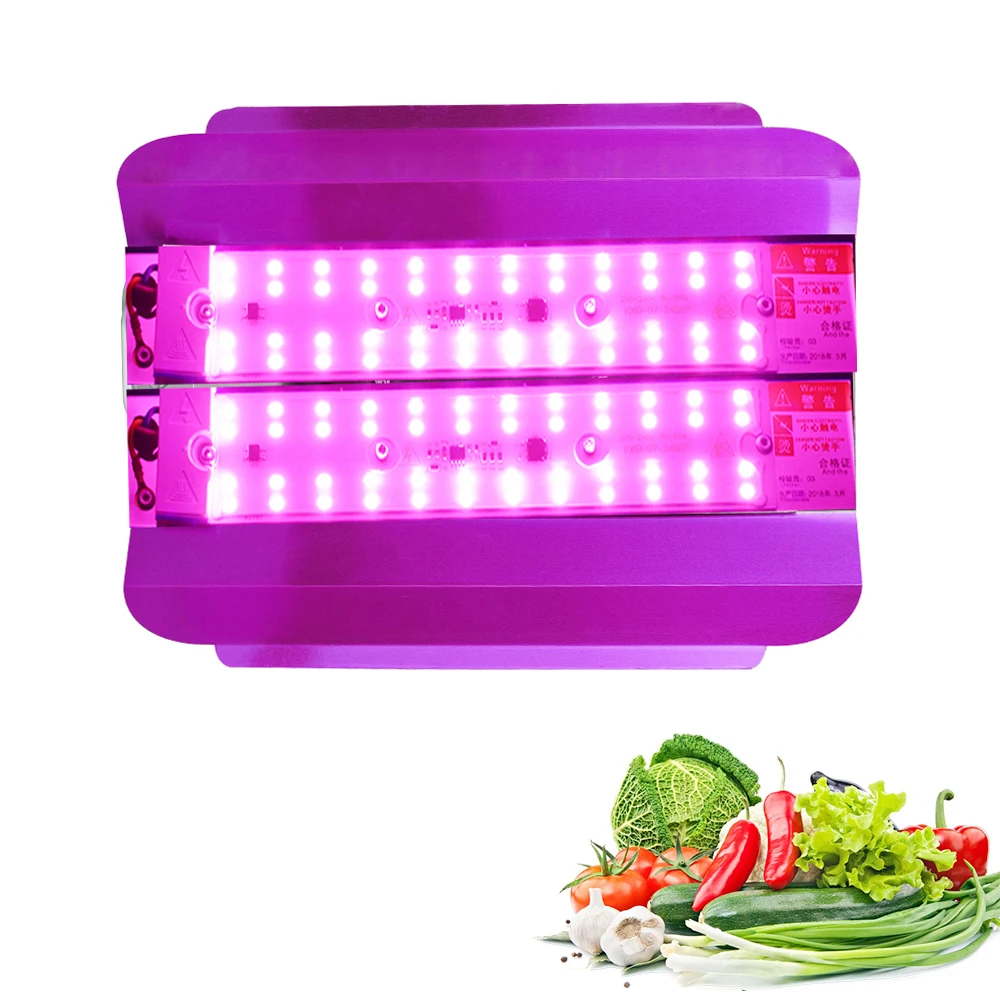 Outdoor LED Grow Light 100W Full Spectrum Plant Lights IP65 Waterproof COB Grow Tent Light Indoor Phytolamp Cultivation Lamps