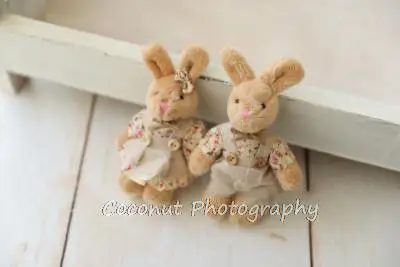 Coconut Newborn Photography Props for Baby Cute Animals Handmade Wool Doll Rabbit And Bear Fotografia Accessory Studio