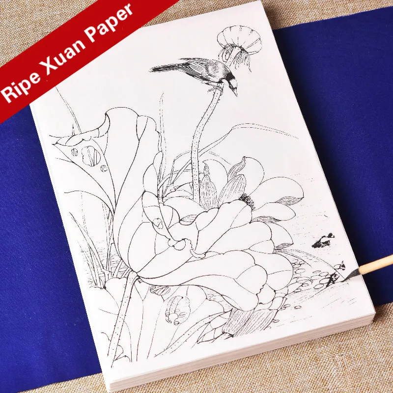 Line Drawing Xuan Paper Chinese Drawing Manuscript Copying Practice Character Basic Tutorial Beginners Rice Paper Flowers Birds