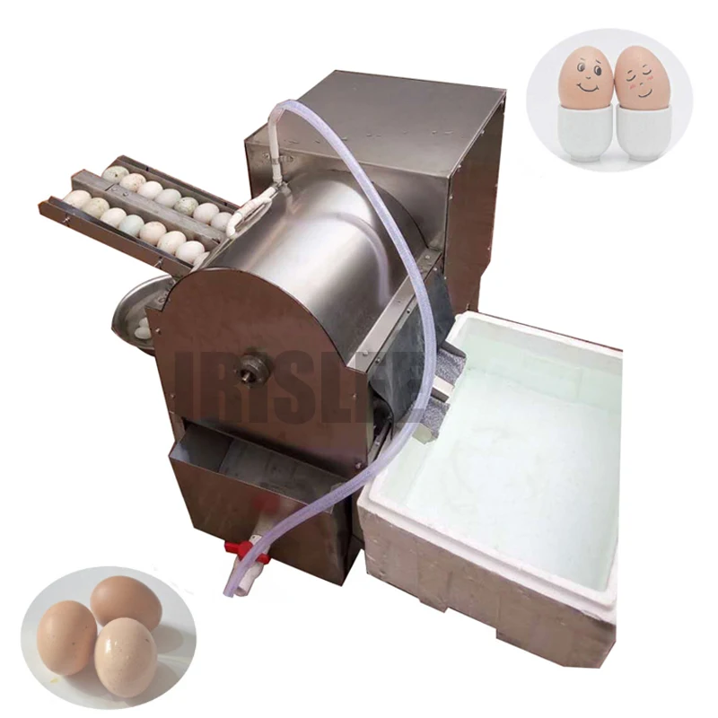 

Double row Electric Egg washing machine chicken duck goose egg washer egg cleaner wash machine poultry farm equipment