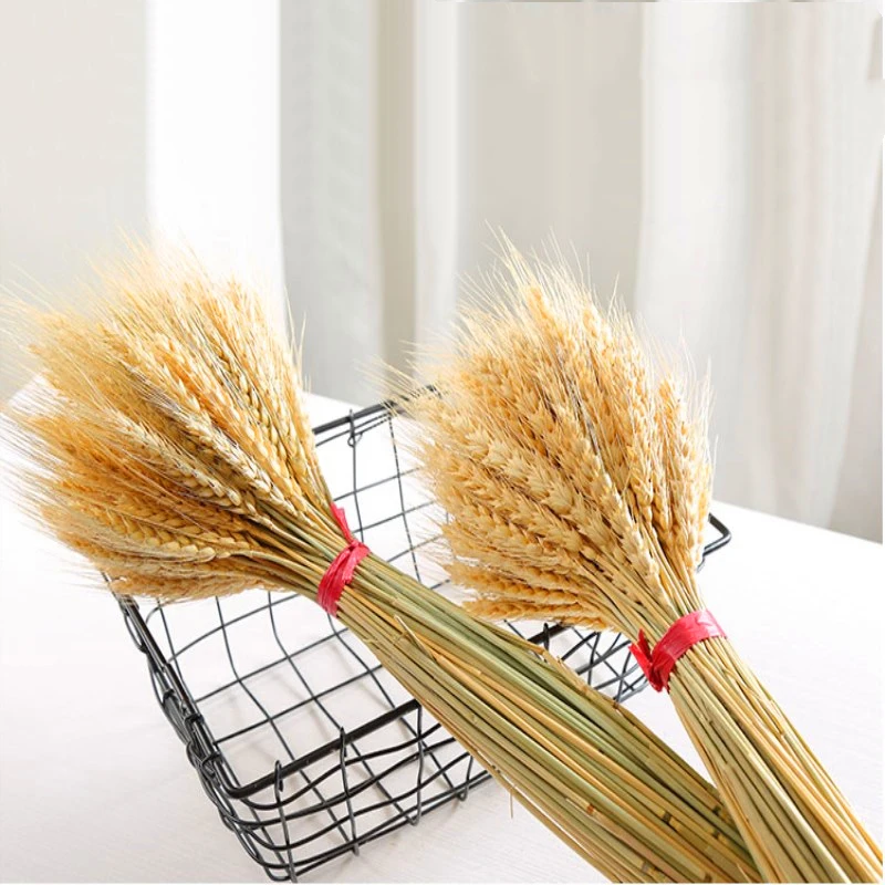 Real Wheat Ear Flower Decoration Natural Pampas Rabbit Tail Grass Dried Flowers For Wedding Party DIY Craft Scrapbook Bouquet