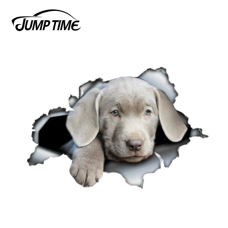 Jump Time 13cm x 8.8cmSilver lab puppy car decal 3D Pet Graphic Vinyl Decal Car Window Laptop Bumper Bird Car Sticker