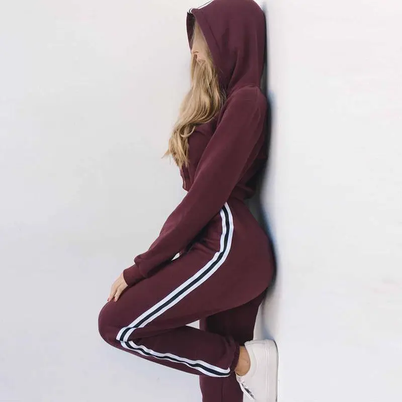 2pcs Women Set Outfits Long Sleeve Hoodie Sweatshirt Top + Long Pants Ladies Casual Sports Sweat Suit Tracksuits