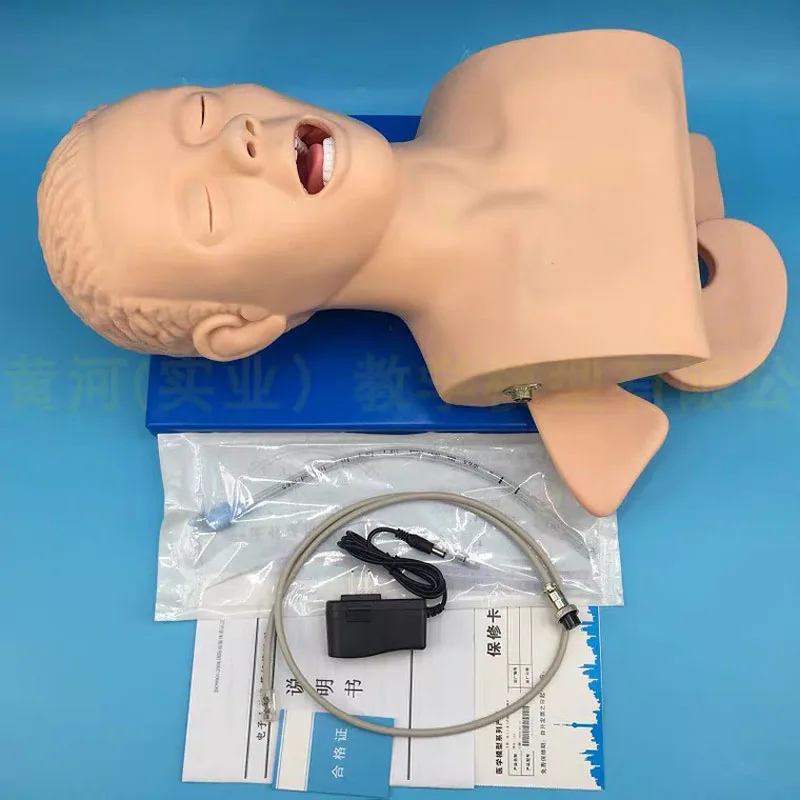 Imagem -06 - Intubação Modelo do Corpo Humano Aprendendo Modelo de Ensino Dispositivo de Treinamento de Gerenciamento de Airway Simulador de Alarme de Pvc com Dentes