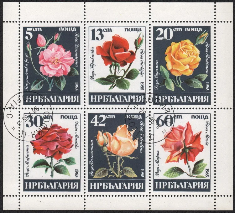 6Pcs/Set Bulgaria P… - image