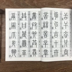Livre de calligraphie chinoise Seal Rick Zhuan Shu Cao Shu