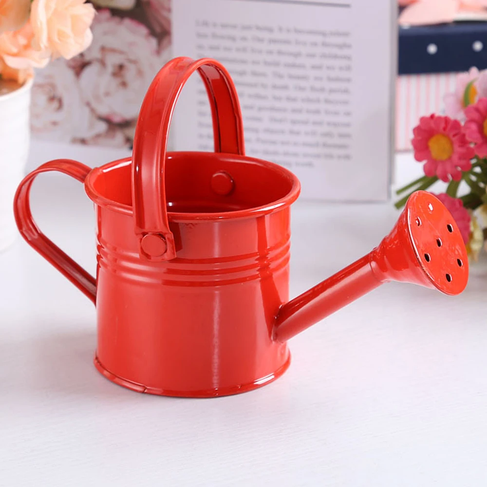 Tin Watering Can Plant Spray Wrought Iron Portable Gardening Tools Metal Sprinkled With Handle Shower for Watering & Irrigation 