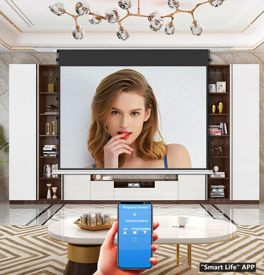 MIVISION 8K Schwarz Diamant/Kristall Umgebungs Licht Ablehnung ALR CLR Elektrische Einbau In-Decke Projektor Bildschirm, v1ALR – Detail 9