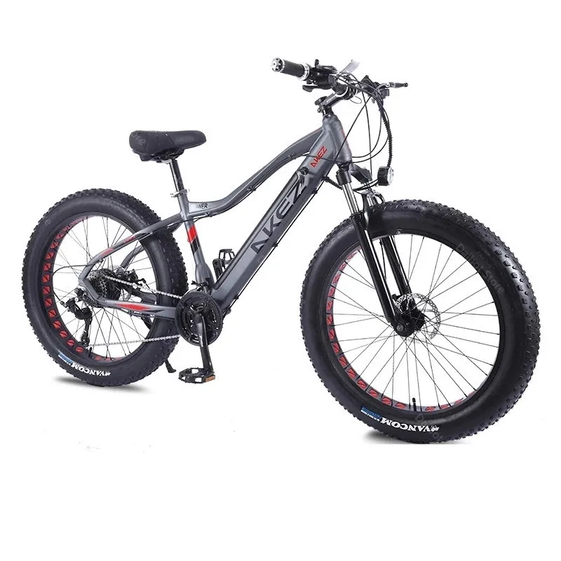 

Electric Mountain Bicycle 48V 350W Two Wheels Electric Bicycles 26 Inch Fat Ebike 4.0 Snow Tire Electric Beach Snow Bike Adult