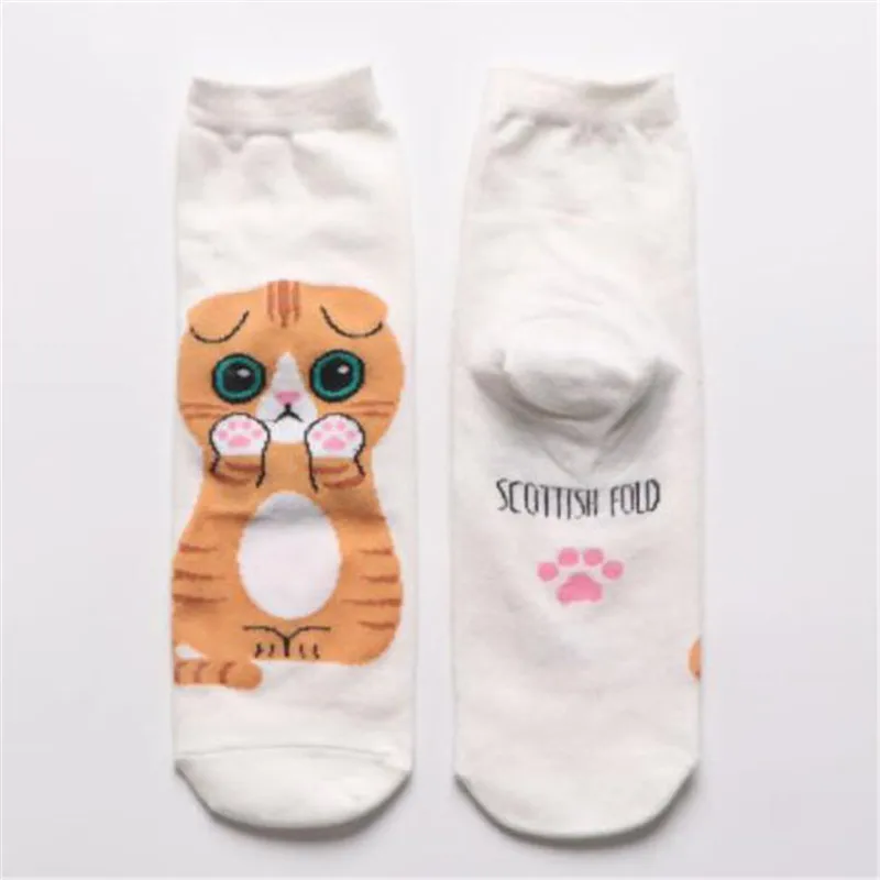 New women's socks, early summer, autumn and winter, long student socks, Japanese trend, men and women's socks, fashion Korean so