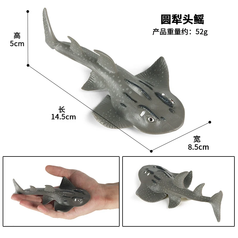 14cm symulacja zwierzęta oceaniczne solidna akcja realistyczne modele Skate figurki kolekcja edukacyjne zabawki dla dzieci ozdoby prezent
