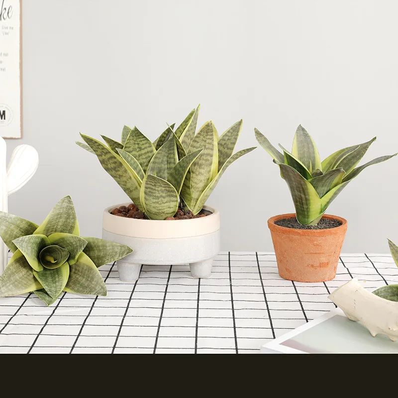 Plantas artificiales para decoración de jardín, ramas de Sansevieria de plástico, bonsái para exteriores, DIY