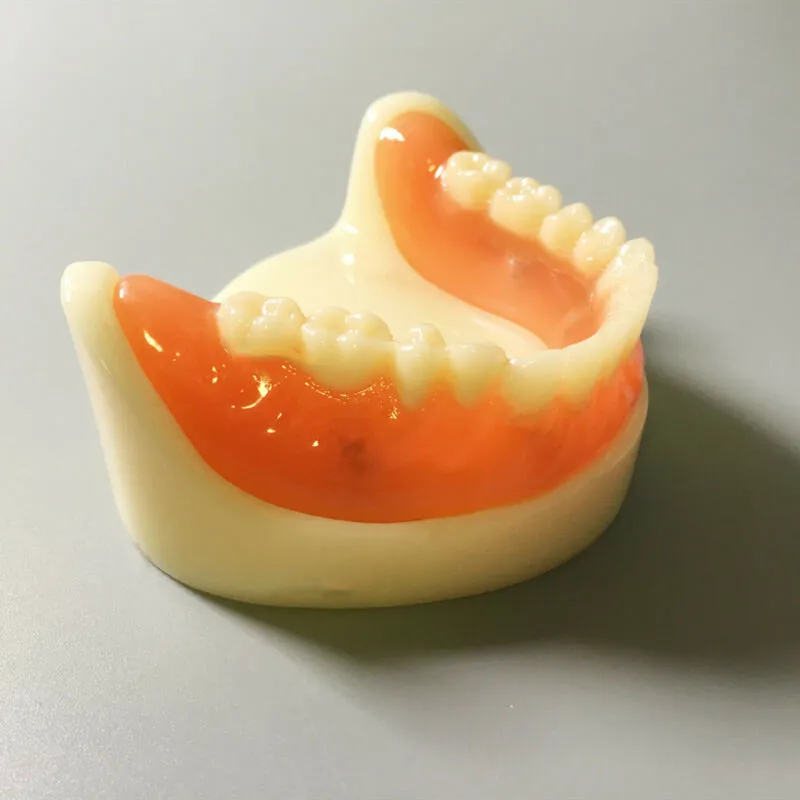 Dental pełna proteza Model Overdenture magnetyczne mocowanie górne badanie żuchwy