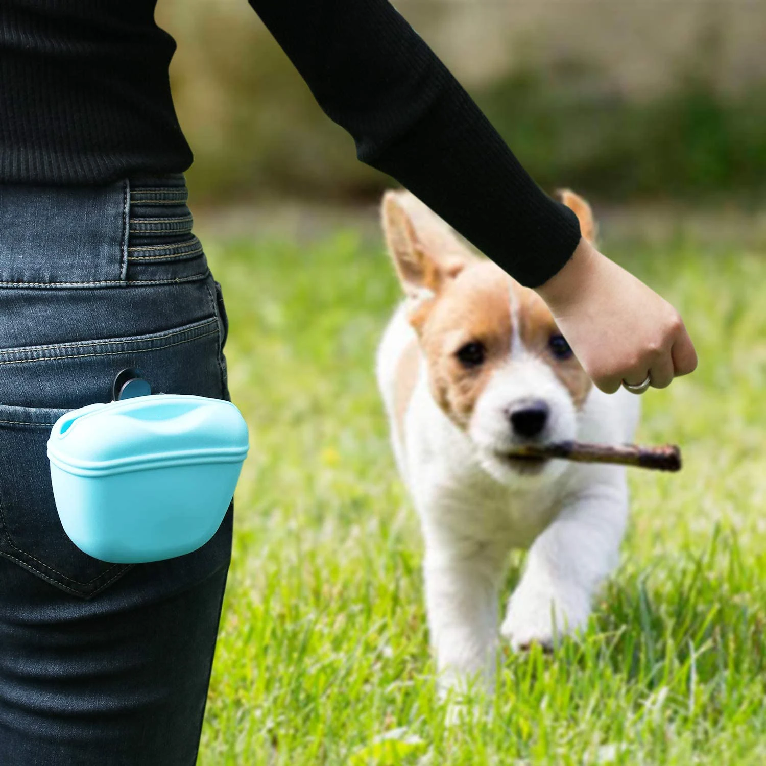 Riñonera de silicona para entrenamiento de mascotas, bolsa de entrenamiento para perros, para caminar, agilidad de obediencia, almacenamiento de alimentación al aire libre, recompensa de comida