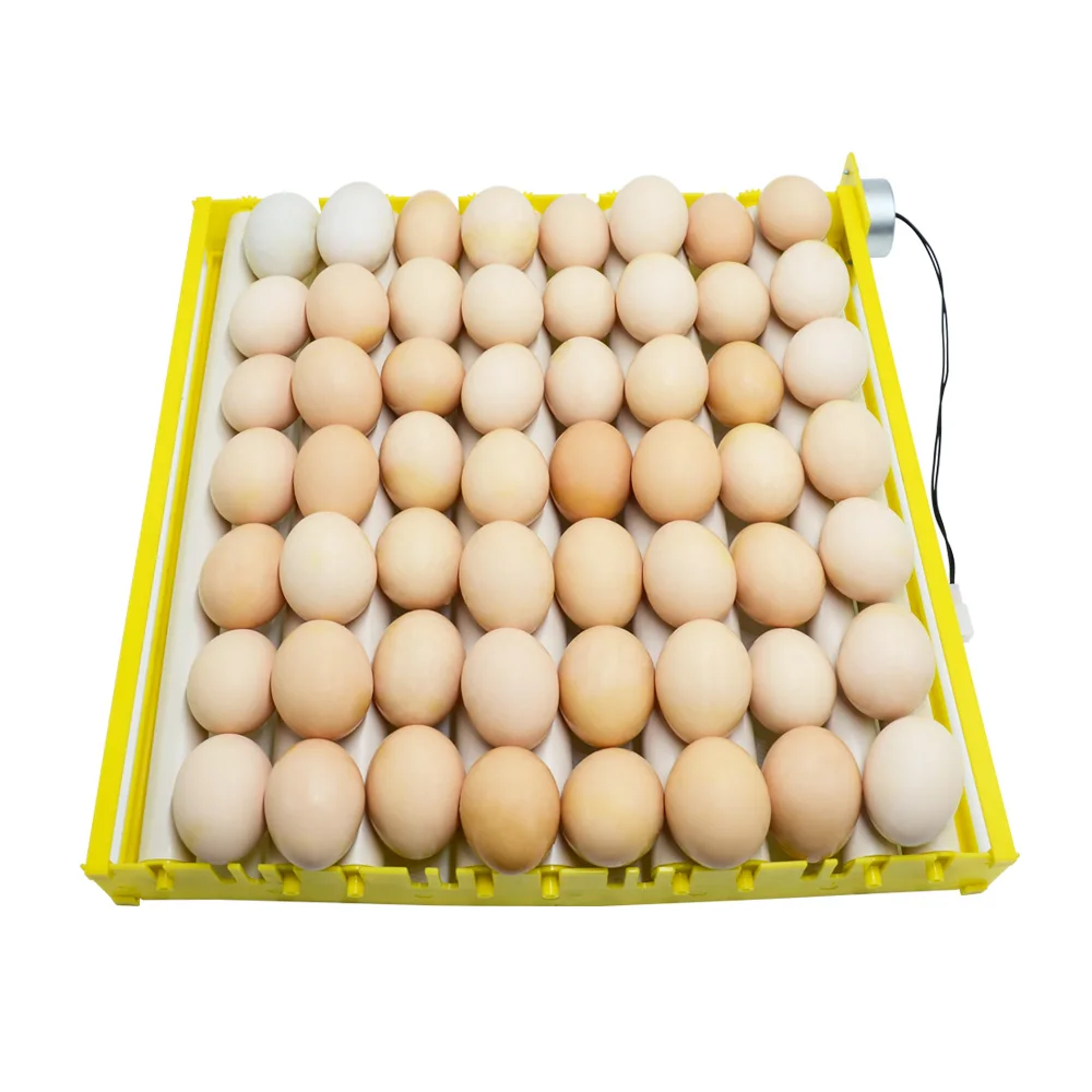 Incubator Motor Egg Turning 56 156 Chicken Egg Incubator Roller Tray Incubator Accessories