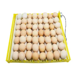 Incubator Motor Egg Turning 56 156 Chicken Egg Incubator Roller Tray Incubator Accessories