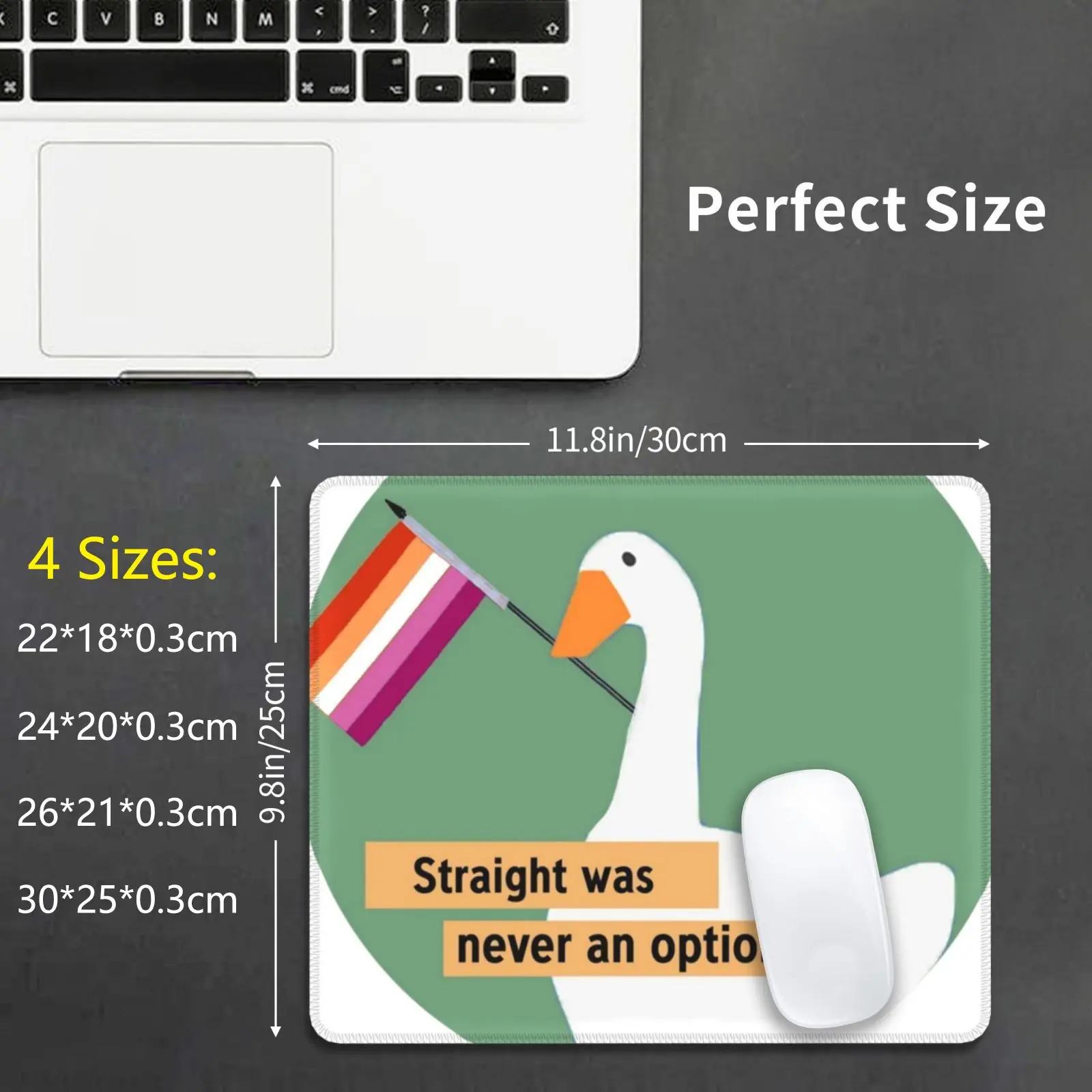 Straight Was Never An Option-Mouse Pad DIY Print Cushion Pride Flag Goose Never An Option