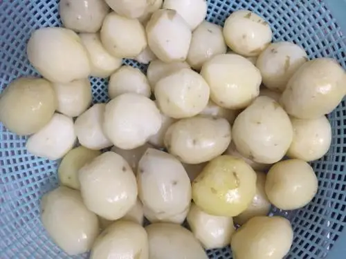 آلة تقشير بطاطس أوتوماتيكية أداة تقشير البطاطس الحلو أداة تقشير البطاطس