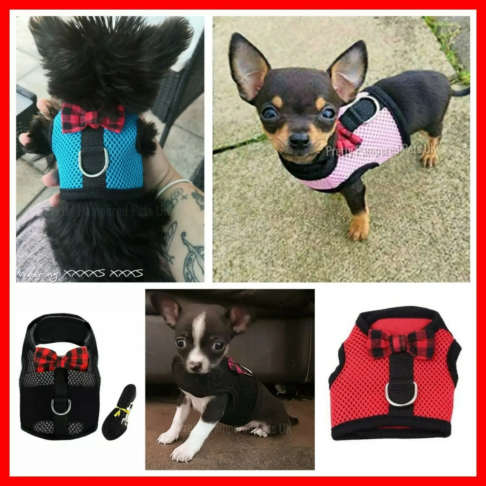 XXXS XXS XS Puppy Dog Teacup Chihuahua Harness Lead Mesh Vest for Tiny Kitty Cat Yorkie Maltese Rabbit Kitten Harness Vest