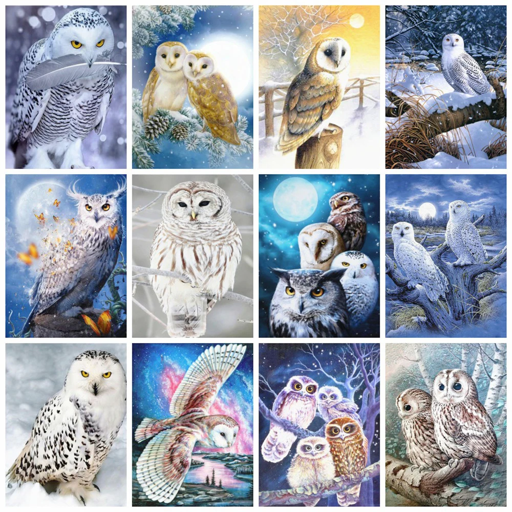 

5D Diamond Painting Owl Full Drill Square Diamond Art Embroidery Animal Cross Stitch Home Decoration