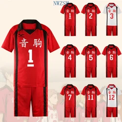 Anime Haikyuu Cosplay Costume Karasuno High School Volleyball Club Hinata Shyouyou Sportswear Jersey Uniform Haikyuu Nekoma