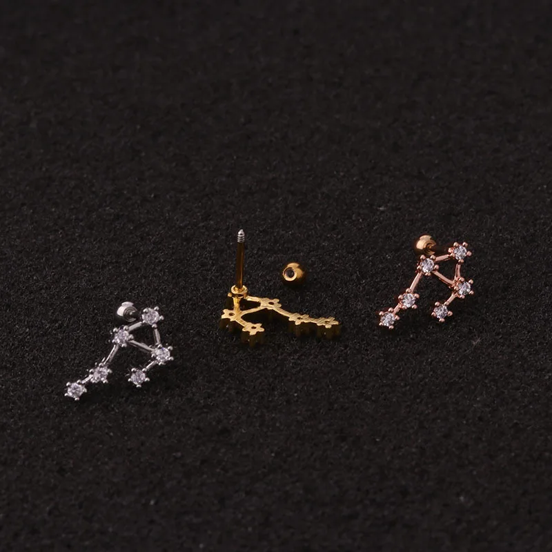 1Pc Stainless Steel Twelve Constellation Ear Piercing Jewelry for Women Cz Cartilage Helix Lobe Screw Back Stud Earrings