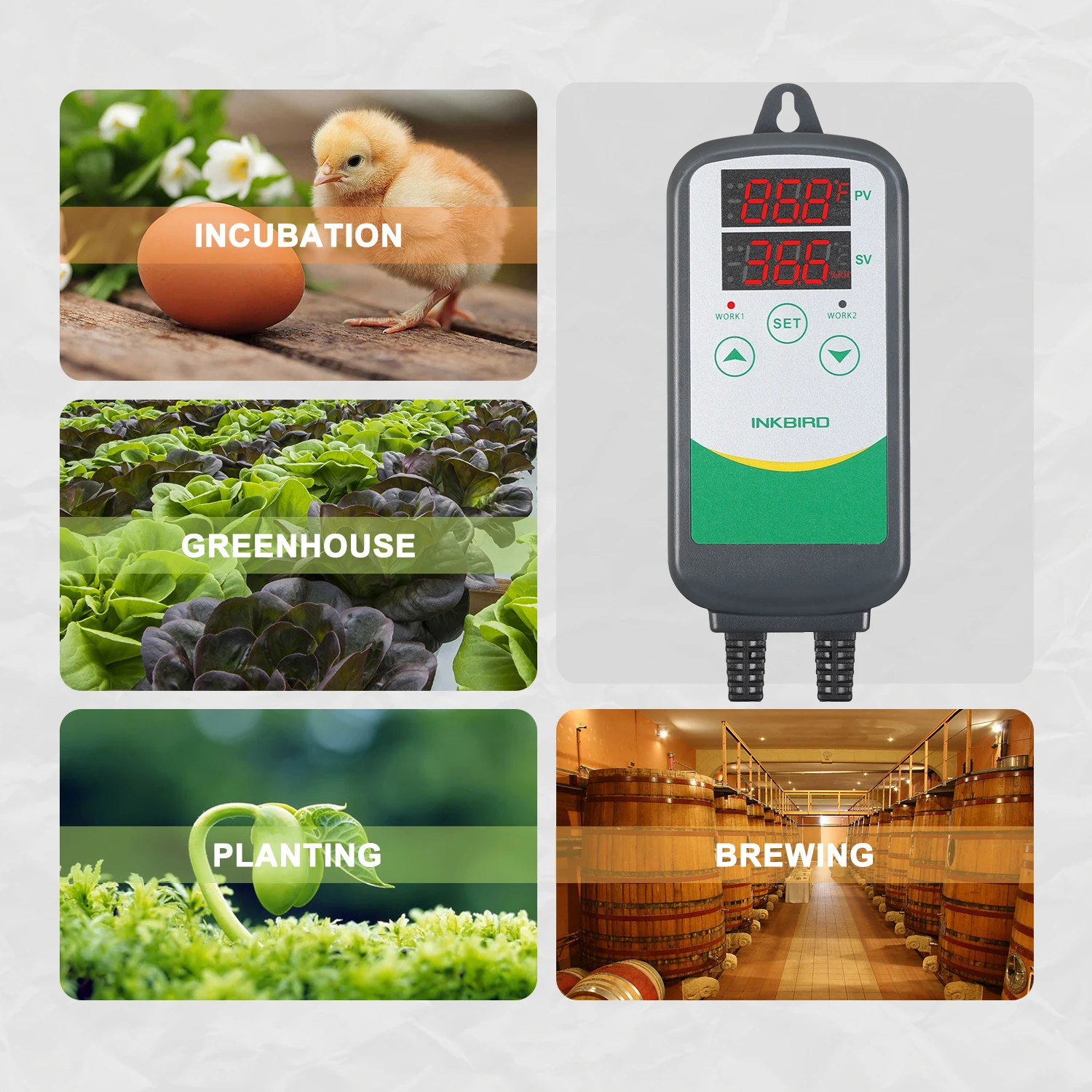 Imagem -04 - Controlador de Temperatura Aquecimento e Refrigeração Relé Duplo Homebrewing Regulador de Termostato Estufa Inkbird-itc308