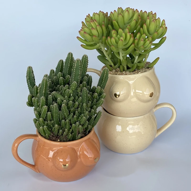 

Art Home Decoration Creative Abstract Chest Ceramic Flower Pot Porcelain Mug Countertop Decoration Green Plant Cactus Flower Pot