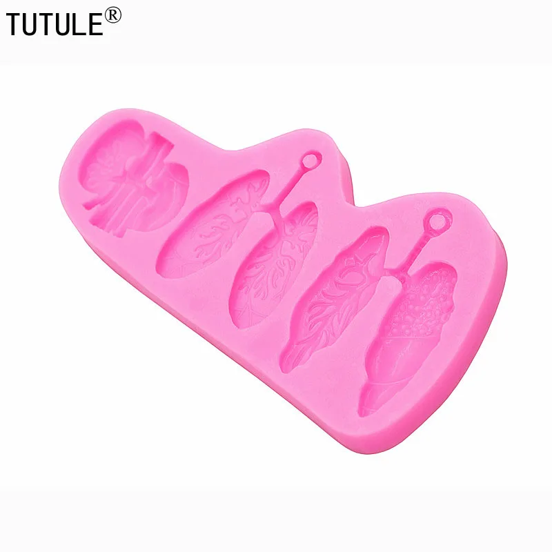 Рисунок 6 - Формы для легких