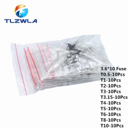 10Kind 100Pcs/lot 3.6*10mm 250V Glass fuse Fast/Slow blow with legs Mix Set 0.5A 1A 2A 3A 3.15A 4A 5A 6A 8A 10A 3.6x10mm