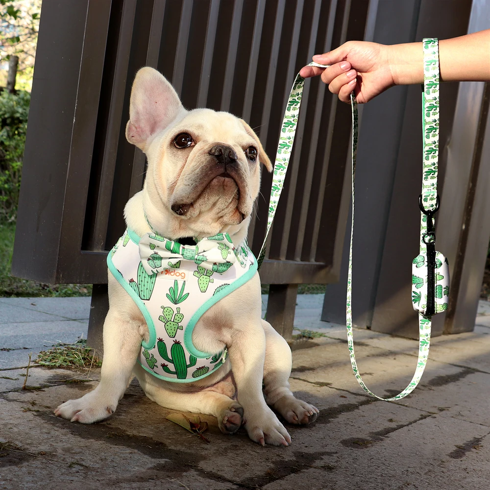 Imagem -06 - Moda Impresso Arnês do Cão com Colar de Harmonização Trela Bolsa de Cocô Bandana para Pequenos Cães Médios Bulldog Francês Presente do Animal Estimação Peças Lote