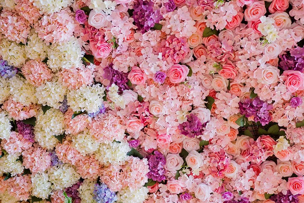 バレンタインデーの写真写真の背景バレンタインデーの写真の背景赤ちゃんのシャワー結婚式の幸せな誕生日の母の日