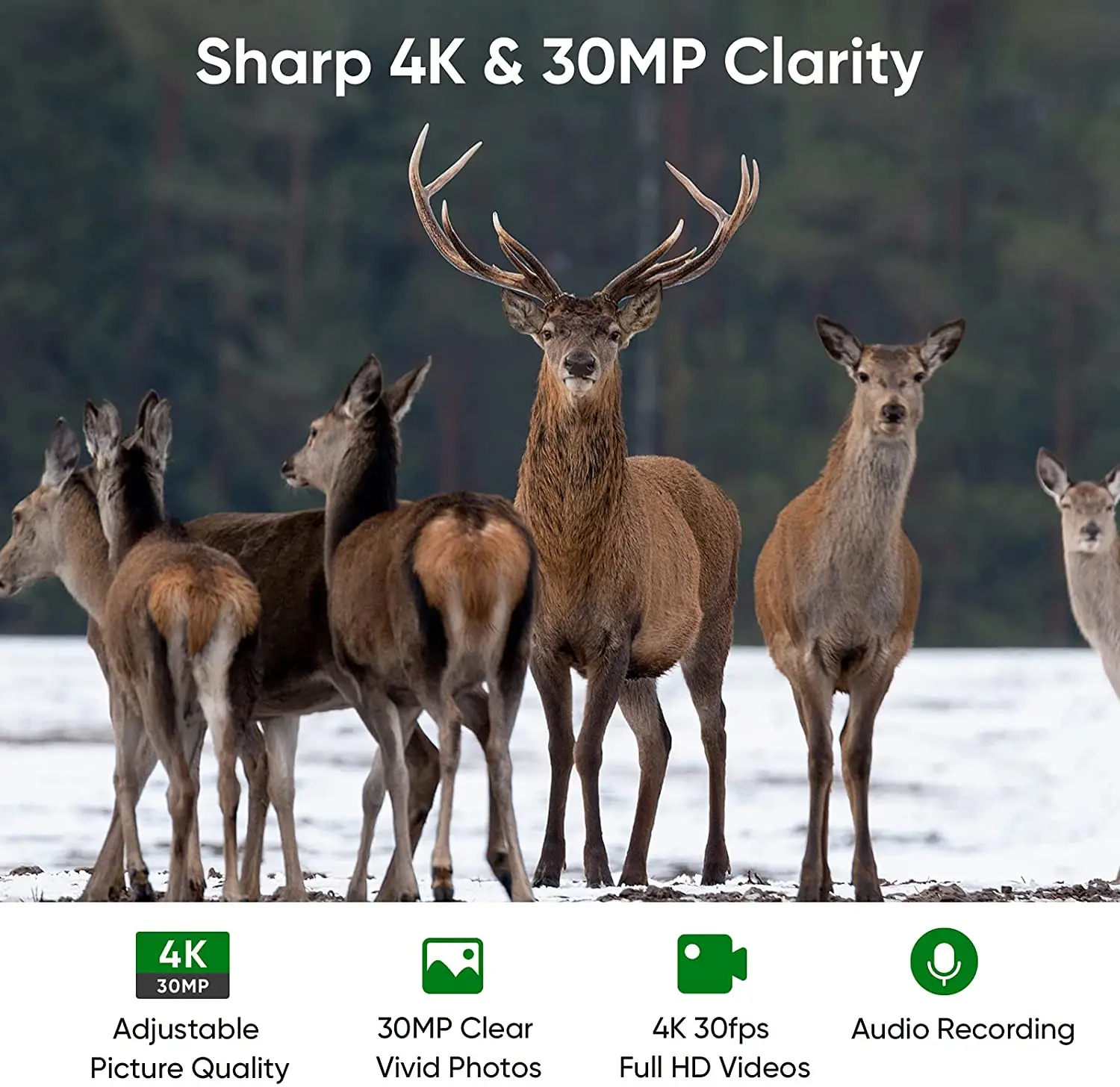 4K WIFI Live Stream Hunting Cameras Live Broadcast Trail Camera 30MP APP Bluetooth Night Vision WIFI830PRO Wildlife Photo Traps