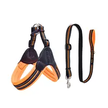Reflective Pet Harness and Leash Set #3