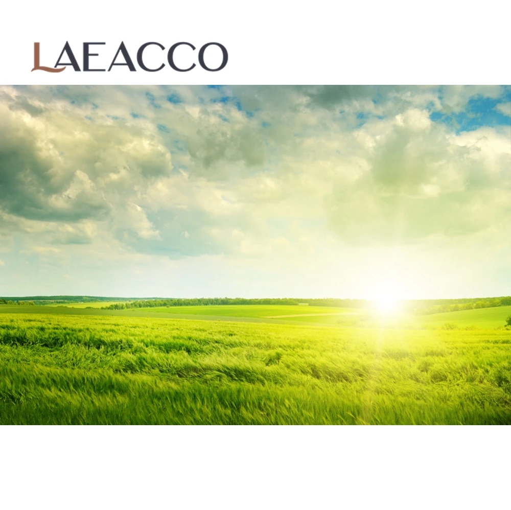 Laeacco Green Grass Lawn Blue Sky Cloudy Spring Natural Scenic Photography Backdrops Photo Backgrounds For Photo Studio