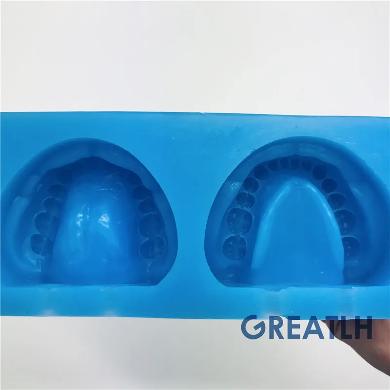 Dental Teaching Model Dental Edentulous Jaw Complete Cavity Block Plaster Model Silicone Mould