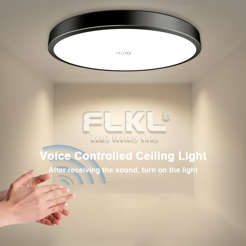 LED Automatic Sound Control Sensor Detector Ceiling Light 24W 220V White Light For Stair Hallway Night Light Pathway Lampada