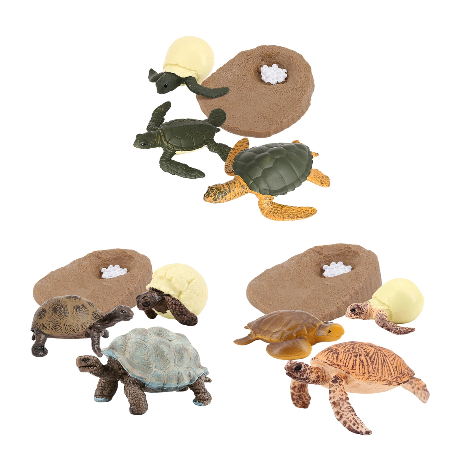 Sea Turtle Life Cycle Model 4 Stage of Growth Kids Education Cognitive Biology Toys