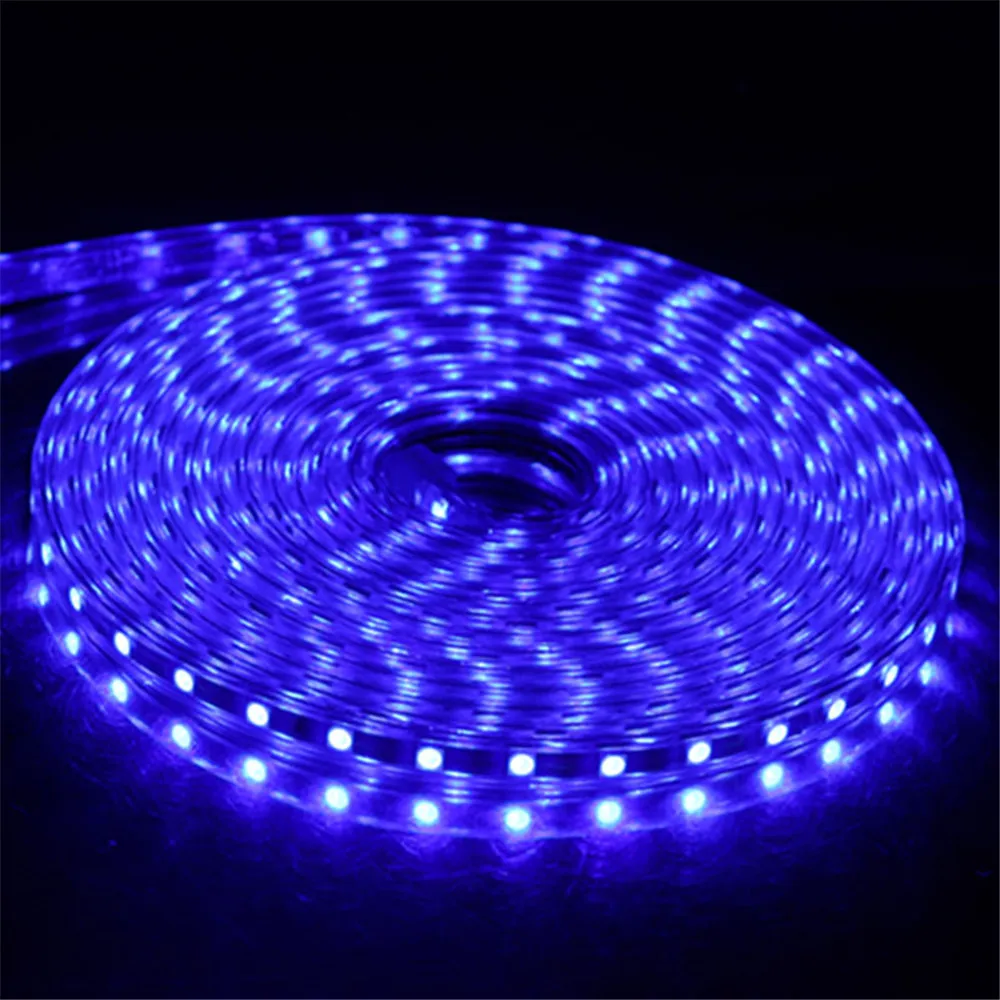 SMD 5050 AC220V LED Strip Flexible Light 60leds/m Waterproof Led Tape LED Light With Power Plug 1M/2M/3M/5M/6M/8M/9M/10M/15M/20M