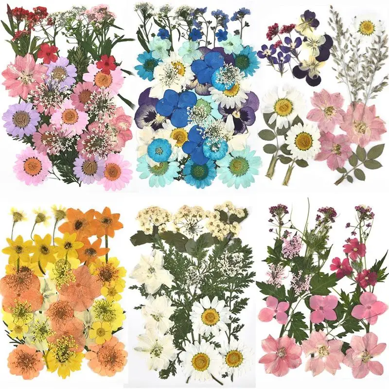 1 Pack Dried Flowers UV Resin Flower Stickers Dry Beauty Decal For DIY Epoxy Resin Filling Jewelry Decoration 2020 New