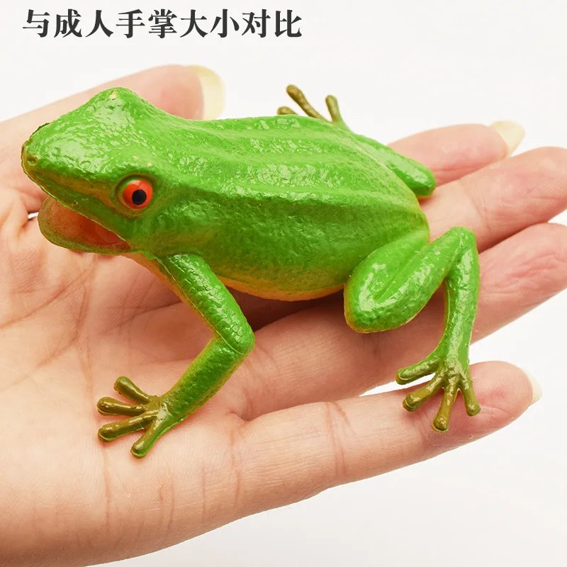 Simulation Frog Model Children\'s Cognitive Animal Props Toys Tropical Rain Forest Toad Poison Frog Tree Frog Spoof Toy