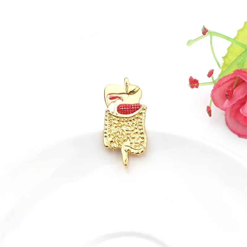 Bowels شكل بروش الذهب والفضة اللون المعدة دبوس المجوهرات الطبية للطبيب ممرضة علم الأحياء الطبية المتدرب هدية