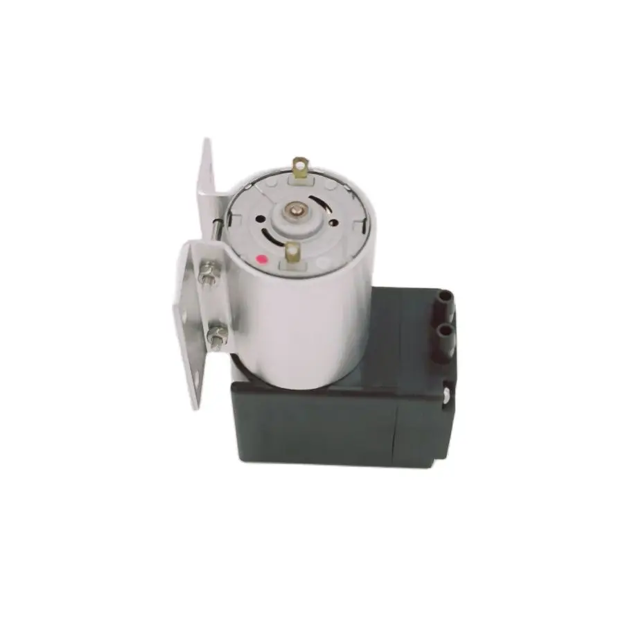 

10 L/Min Electric Brush DC Diaphragm Mini Compressor 12V