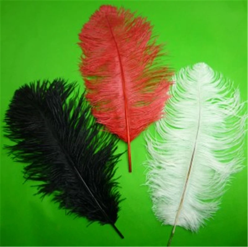 Fake Ptilosis/Vanishing Cane(Red/White/Black Available) Magic Trick Ostrich Feather Used for Appearing Stage Professional Magic