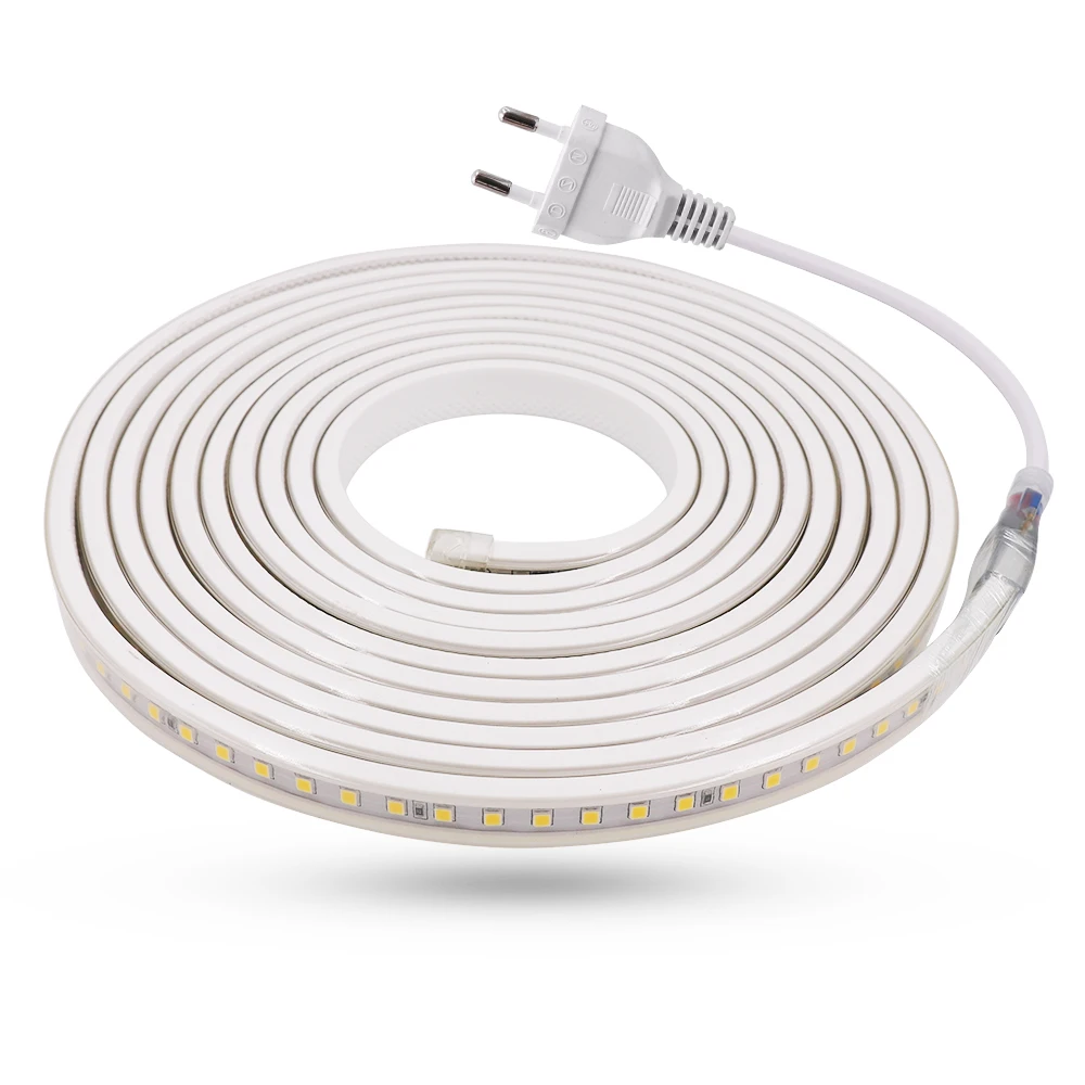 220V LED Strip 100LEDs/m 4040 Waterproof Flexible Light Outdoor Lighting Cold White / Warm White / Natural White Home Decoration