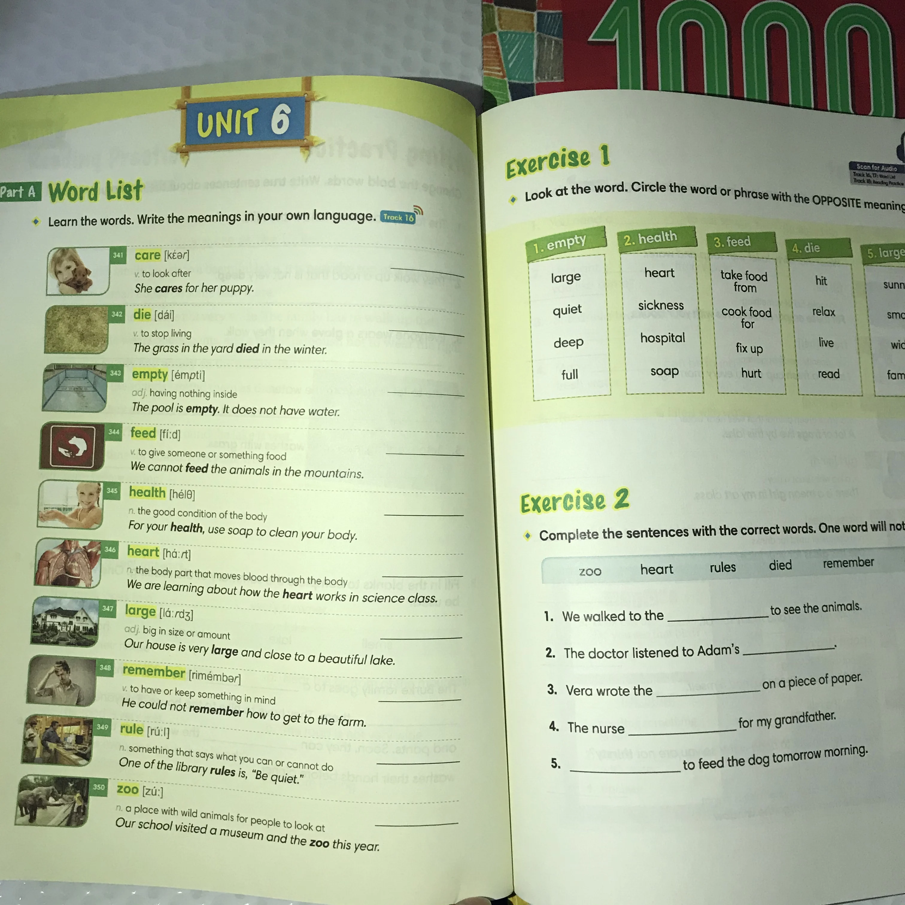 4 كتب/مجموعة 1000 كلمة إنجليزية أساسية المستوى 1-4 قاموس مشترك للمدرسة الابتدائية مصنف الكتب المدرسية
